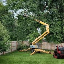 Best Tree Maintenance Programs  in Brookfield, NJ