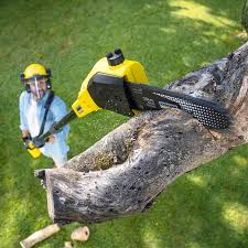 Best Organic Lawn Care Solutions  in Brookfield, NJ