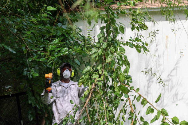 Best Tree and Shrub Care  in Brookfield, NJ